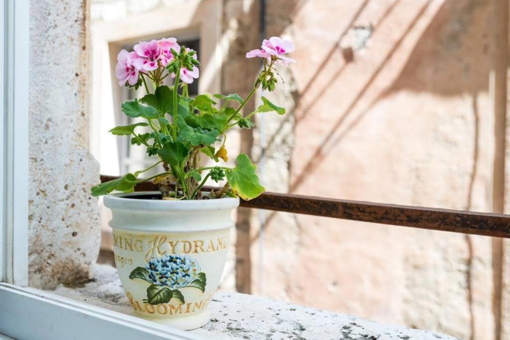Apartamento Carpe Diem On The Main Street - Stradun
